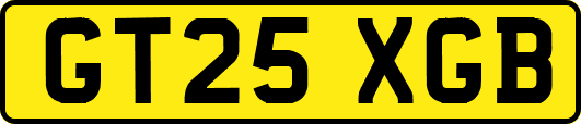 GT25XGB