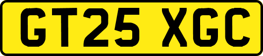 GT25XGC
