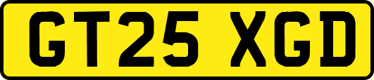 GT25XGD