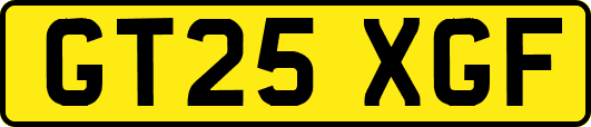 GT25XGF