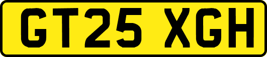 GT25XGH