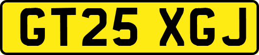 GT25XGJ