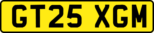 GT25XGM