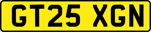 GT25XGN