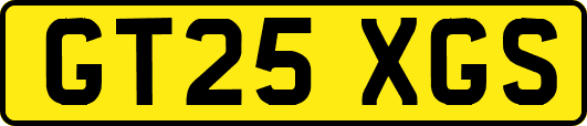 GT25XGS