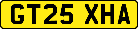 GT25XHA