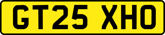 GT25XHO