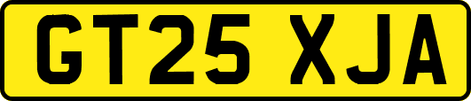 GT25XJA