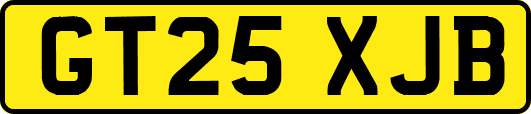 GT25XJB