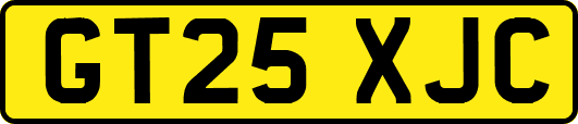 GT25XJC