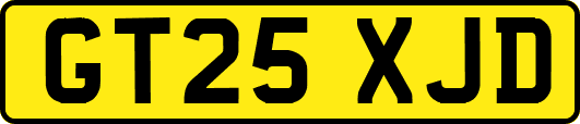 GT25XJD
