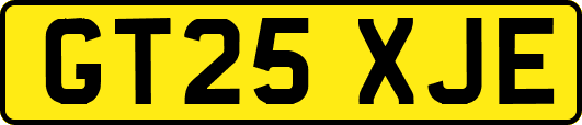 GT25XJE