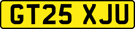 GT25XJU