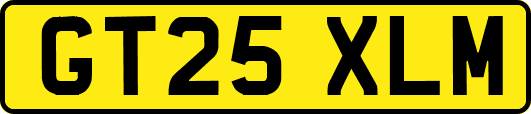GT25XLM