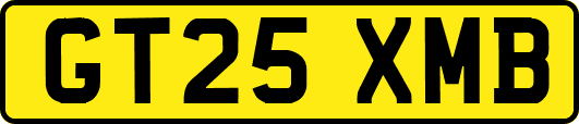 GT25XMB