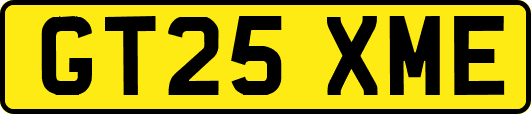 GT25XME