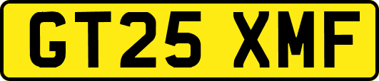 GT25XMF