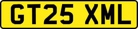 GT25XML