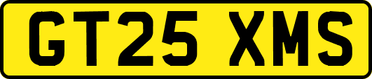 GT25XMS