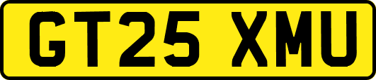 GT25XMU