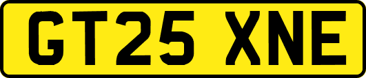 GT25XNE