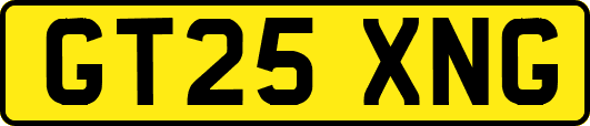 GT25XNG