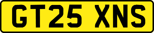 GT25XNS