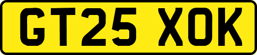 GT25XOK