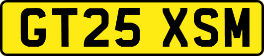GT25XSM