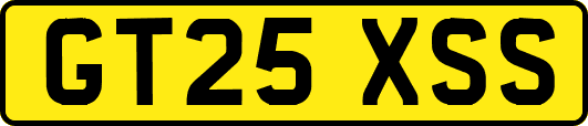 GT25XSS