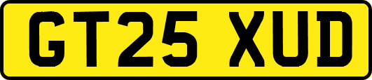 GT25XUD