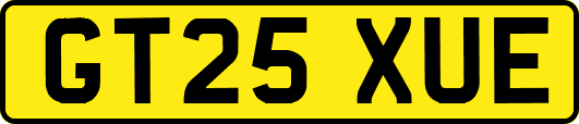 GT25XUE