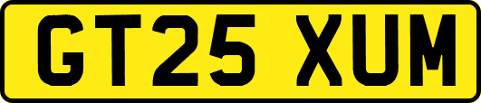 GT25XUM