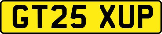 GT25XUP