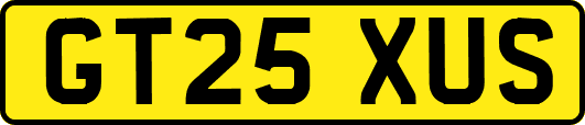 GT25XUS