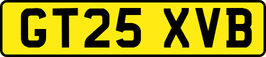 GT25XVB