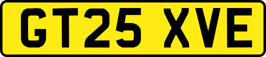 GT25XVE