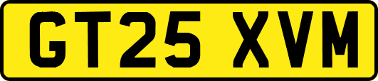 GT25XVM