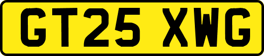 GT25XWG