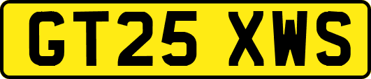 GT25XWS