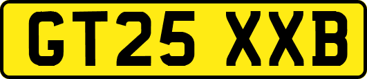 GT25XXB