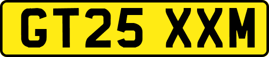 GT25XXM