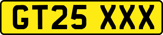 GT25XXX