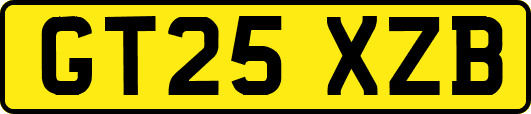 GT25XZB