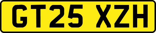 GT25XZH