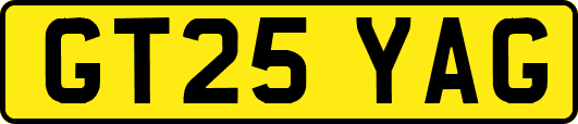 GT25YAG