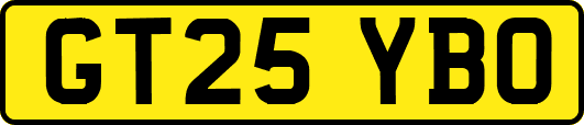 GT25YBO