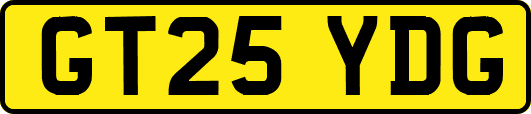 GT25YDG