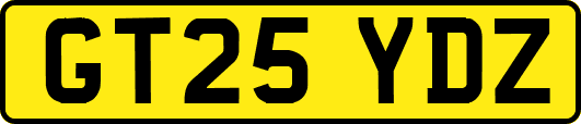 GT25YDZ