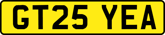 GT25YEA